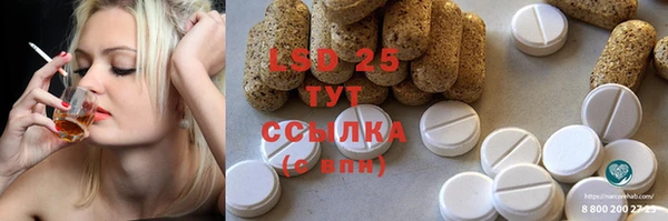 индика Медвежьегорск