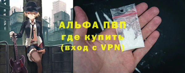 индика Медвежьегорск