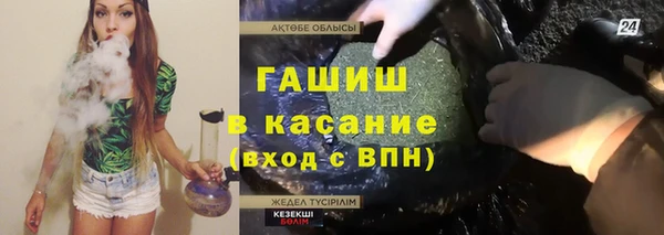 индика Медвежьегорск