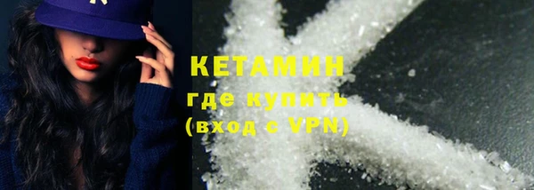 индика Медвежьегорск