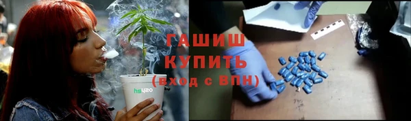 индика Медвежьегорск