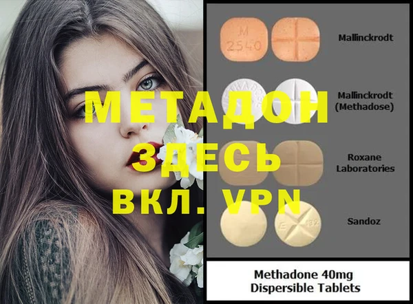 индика Медвежьегорск