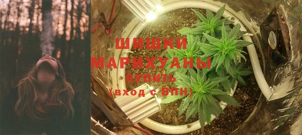 индика Медвежьегорск