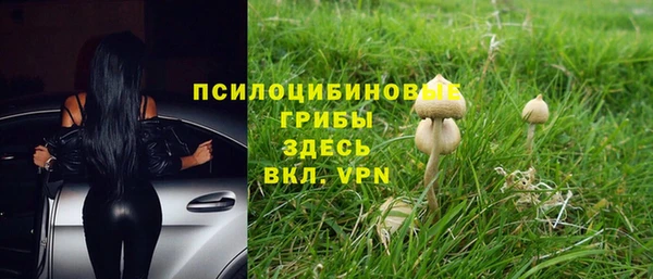 шишки Щучье