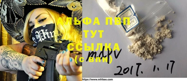 индика Медвежьегорск