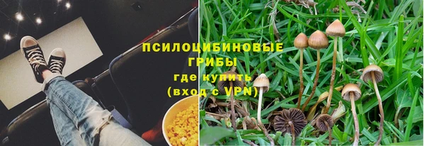 индика Медвежьегорск