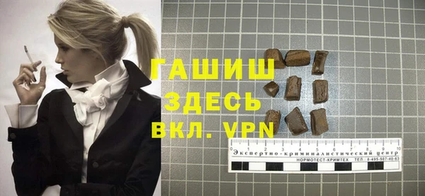 индика Медвежьегорск