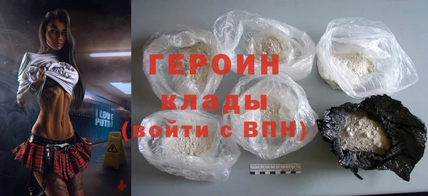 индика Медвежьегорск