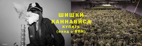 индика Медвежьегорск