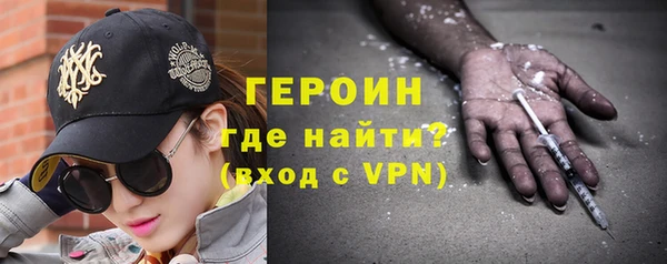 индика Медвежьегорск