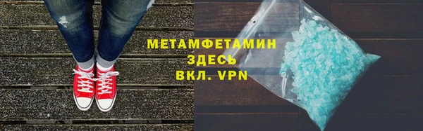 индика Медвежьегорск
