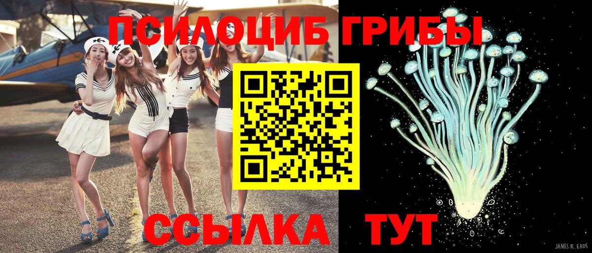 Галлюциногенные грибы ЛСД  Псилоцибиновые грибы ЛСД  Вход с VPN  Шатура 