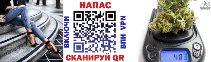 Шишки марихуана MAZAR  Шатура 
